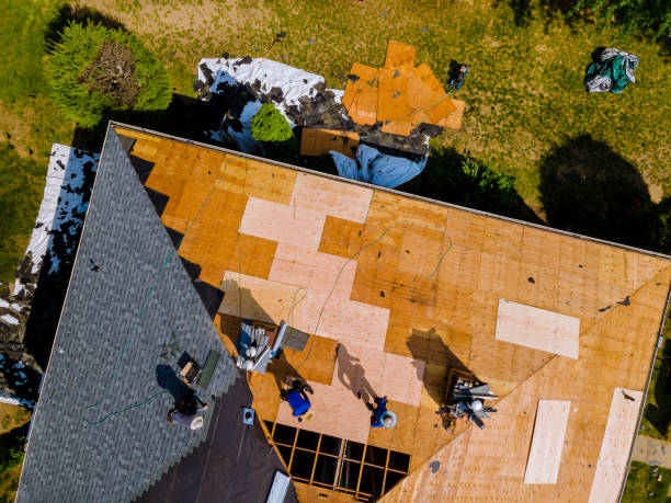 Best Roof Maintenance Services  in Unionville, TN